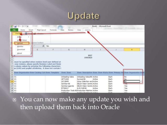 Oracle Api Update Item Attributes